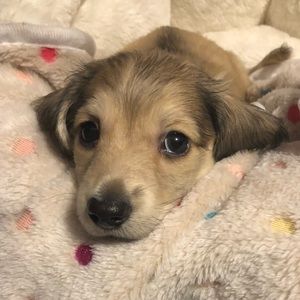 Meet your Posher, Jess